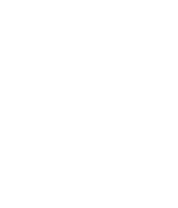 MSU Summer Softball Camps